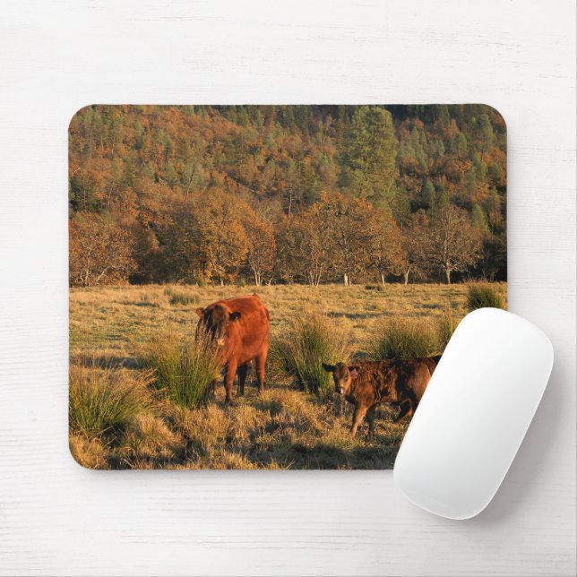 Family Time....... Mouse Mat (With Mouse)