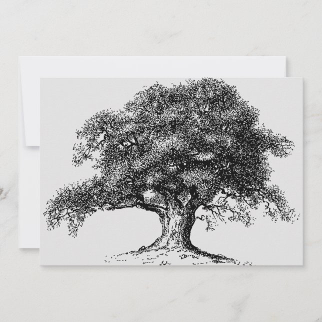 Family Tree Ancestry Reunion Party Grey Announcement (Front)