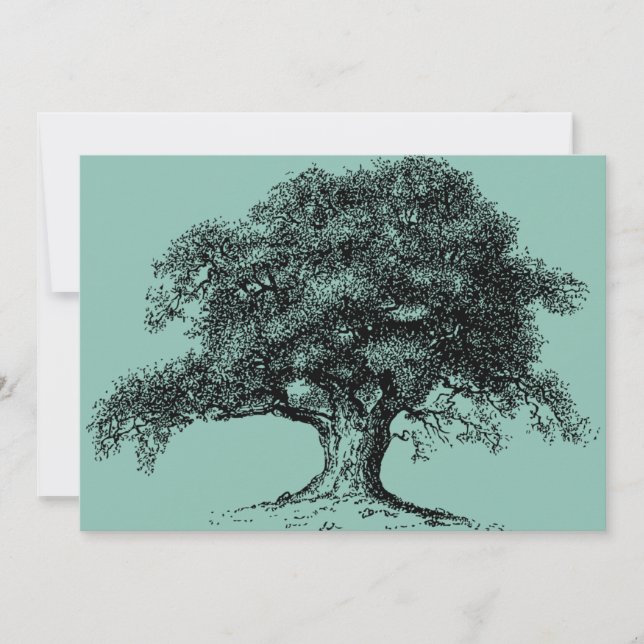 Family Tree Ancestry Reunion Potluck Picnic BBQ Announcement (Front)