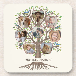 Family Tree Photo Collage 8 Pictures Name Lt Beige Coaster