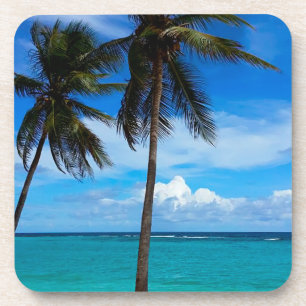 Family Trip Beach Vacation Guadeloupe Caribbean Coaster