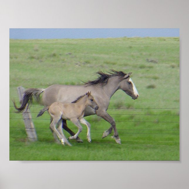 FamilyRun Poster (Front)