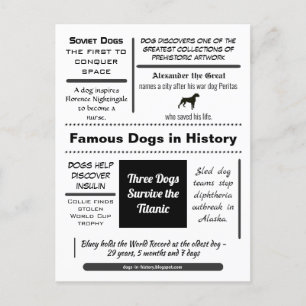 Famous Dogs in History Postcard