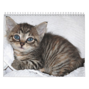 Famous Miracle Manx Calendar