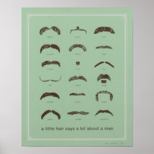 Famous Mustaches Poster
