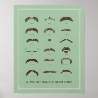 Famous Mustaches Poster