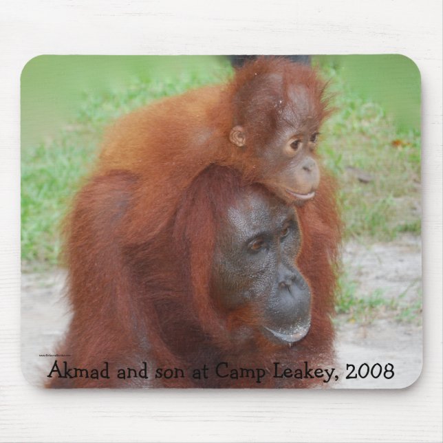 Famous Orangutan Mother Mouse Mat (Front)