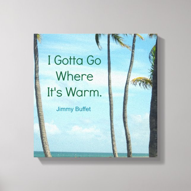 FAMOUS QUOTE JIMMY BUFFETT PHOTO ART CANVAS PRINT (Front)