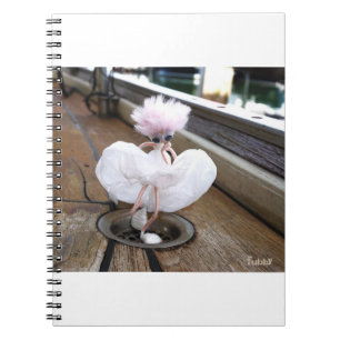 Famous scene in White robe reenacted by fubby. Notebook