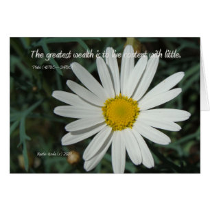 Famous Words: Wealth - White Daisy Card Series (1)