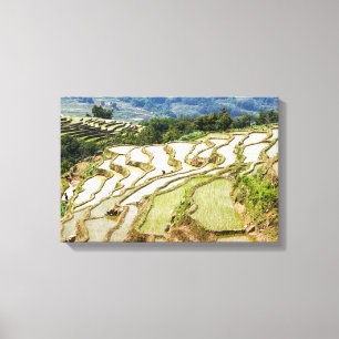 Famous yuanyang Rice Terraces - Yunnan, China Canvas Print