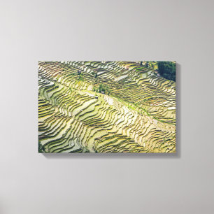 Famous yuanyang Rice Terraces - Yunnan, China Canvas Print