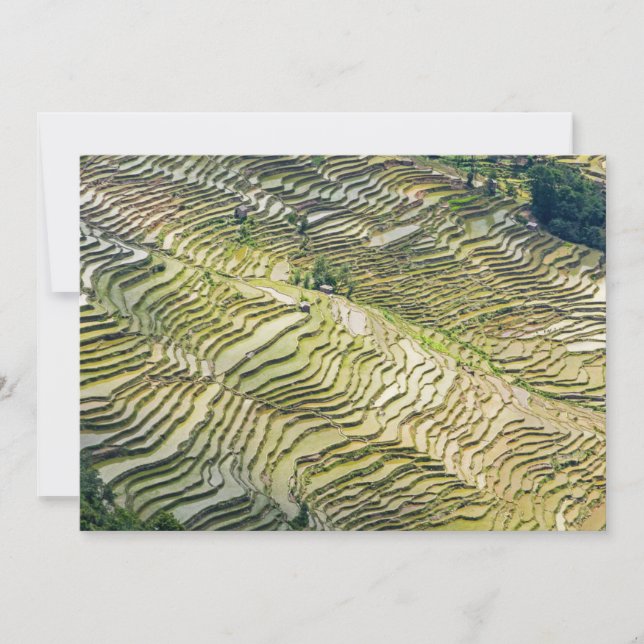 Famous yuanyang Rice Terraces - Yunnan, China Invitation (Front)