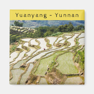 Famous yuanyang Rice Terraces - Yunnan, China Magnet