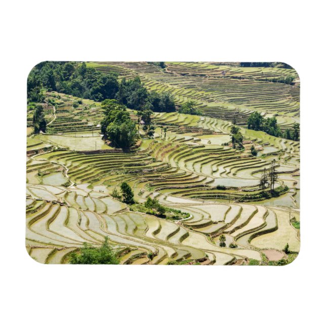 Famous yuanyang Rice Terraces - Yunnan, China Magnet (Horizontal)