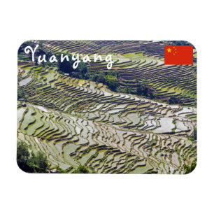Famous yuanyang Rice Terraces - Yunnan, China Magnet