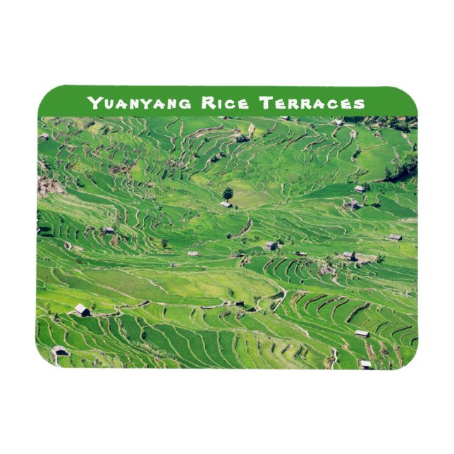 Famous yuanyang Rice Terraces - Yunnan, China Magnet (Horizontal)
