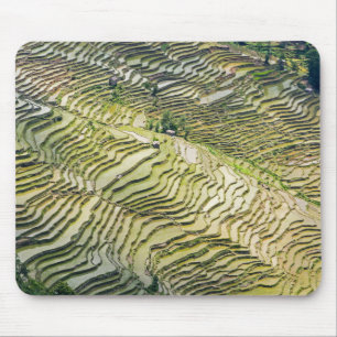 Famous yuanyang Rice Terraces - Yunnan, China Mouse Mat