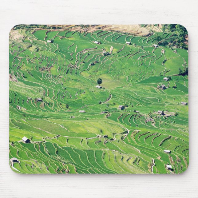 Famous yuanyang Rice Terraces - Yunnan, China Mouse Mat (Front)