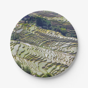 Famous yuanyang Rice Terraces - Yunnan, China Paper Plate