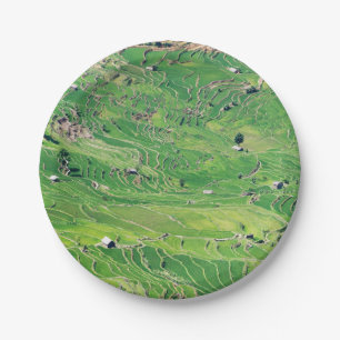 Famous yuanyang Rice Terraces - Yunnan, China Paper Plate