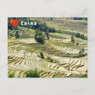 Famous yuanyang Rice Terraces - Yunnan, China Postcard