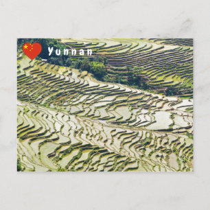 Famous yuanyang Rice Terraces - Yunnan, China Postcard