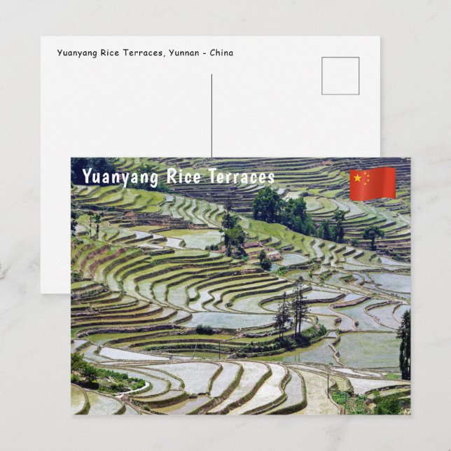 Famous yuanyang Rice Terraces - Yunnan, China Postcard (Front/Back)