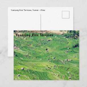 Famous yuanyang Rice Terraces - Yunnan, China Postcard