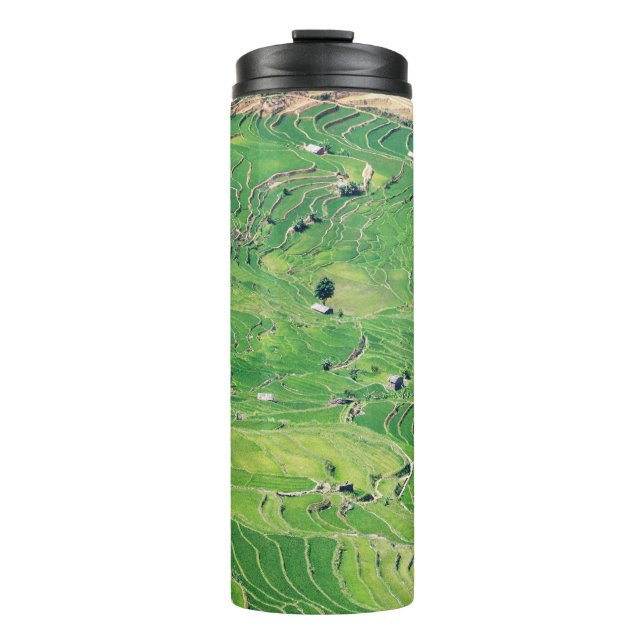 Famous yuanyang Rice Terraces - Yunnan, China Thermal Tumbler (Front)