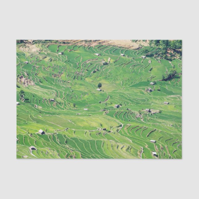 Famous yuanyang Rice Terraces - Yunnan, China Tissue Paper (Front)
