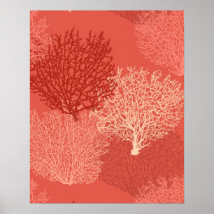 Fan Coral Print, Shades of Coral Orange Poster