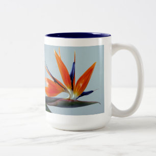 Fan of Paradise Mug