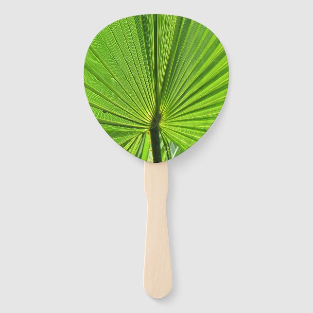Fan - Palm Frond (Front)