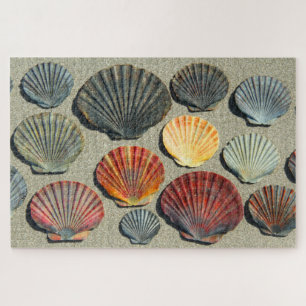 FAN SHELLS 20x30 INCH Jigsaw Puzzle