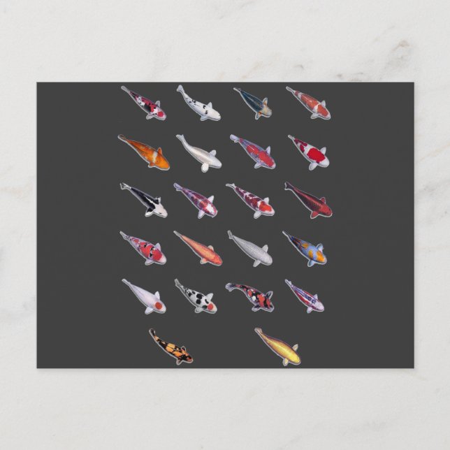 Fanatical About Koi Postcard (Front)