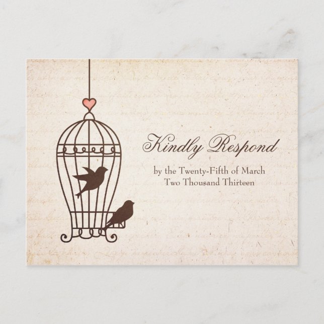 Fanciful Bird Cage - Chocolate & Pink Wedding RSVP Invitation Postcard (Front)
