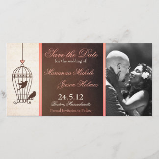 Fanciful Birdcage Chocolate & Pink Save the Date