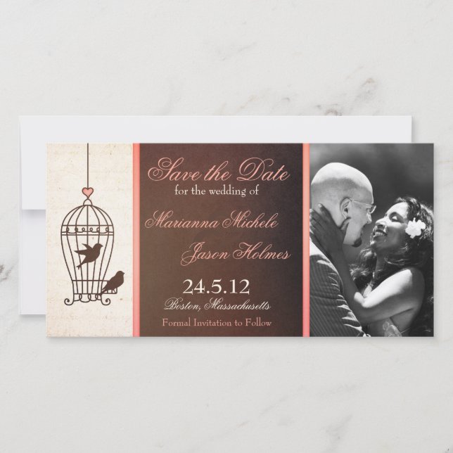 Fanciful Birdcage Chocolate & Pink Save the Date (Front)