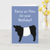 Fancy an Oreo? Belted Galloway Cow Card (Yellow Flower)