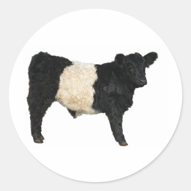Fancy an Oreo? Belted Galloway Cow Classic Round Sticker (Front)