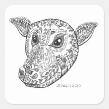 Fancy Bat - P. conspicillatus Portrait