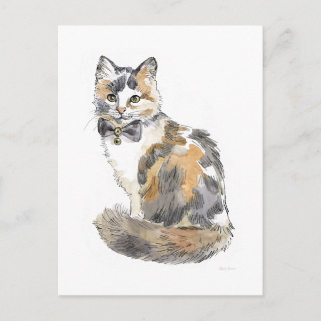 Fancy Calico Cat Postcard (Front)