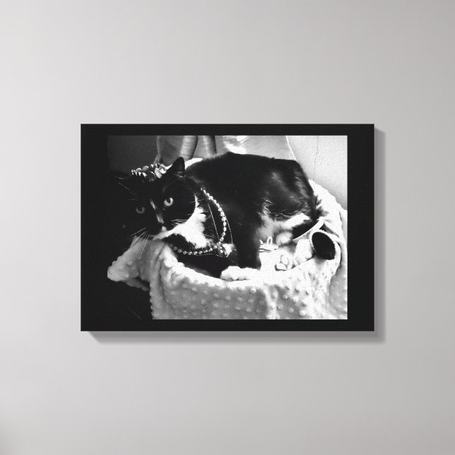 Fancy Cat Canvas Print (Front)