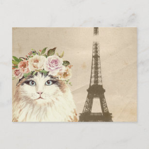 Fancy Cat & Eiffel Tower Postcard