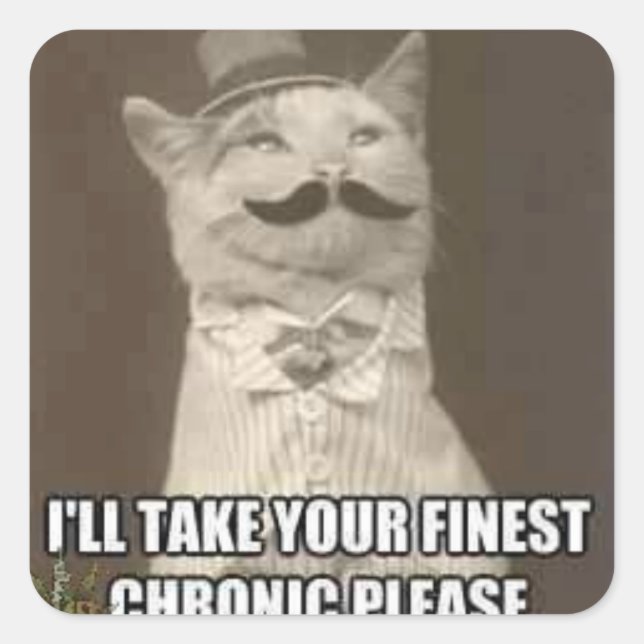 fancy cat sticker (Front)