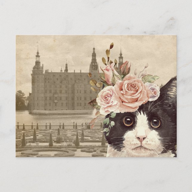 Fancy Cat & The Castle Postcard (Front)