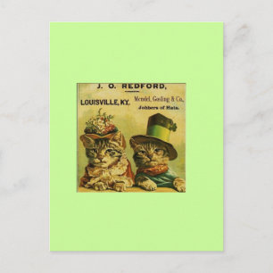 Fancy Cats Postcard