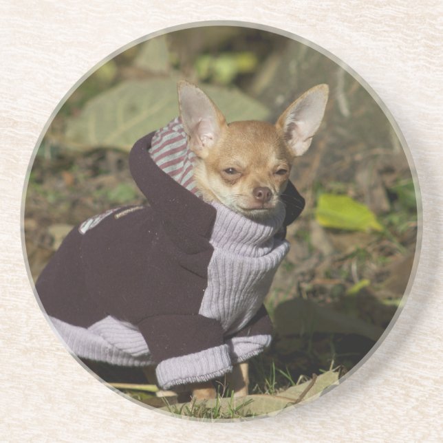 Fancy Chihuahua Coaster (Front)