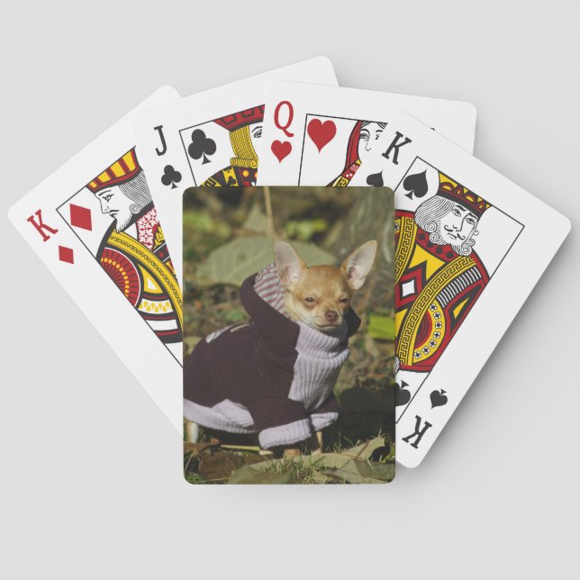 Fancy Chihuahua Playing Cards (Back)